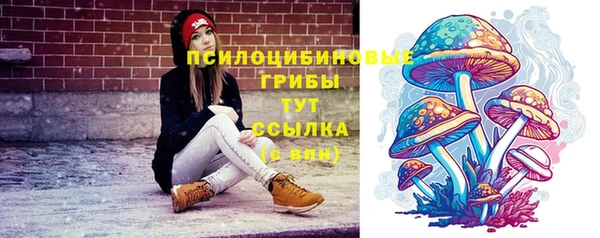 прущие крисы Алексеевка