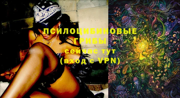 прущие крисы Алексеевка
