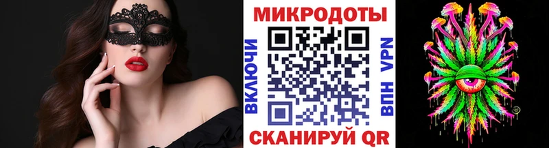 Галлюциногенные грибы Psilocybine cubensis Кольчугино
